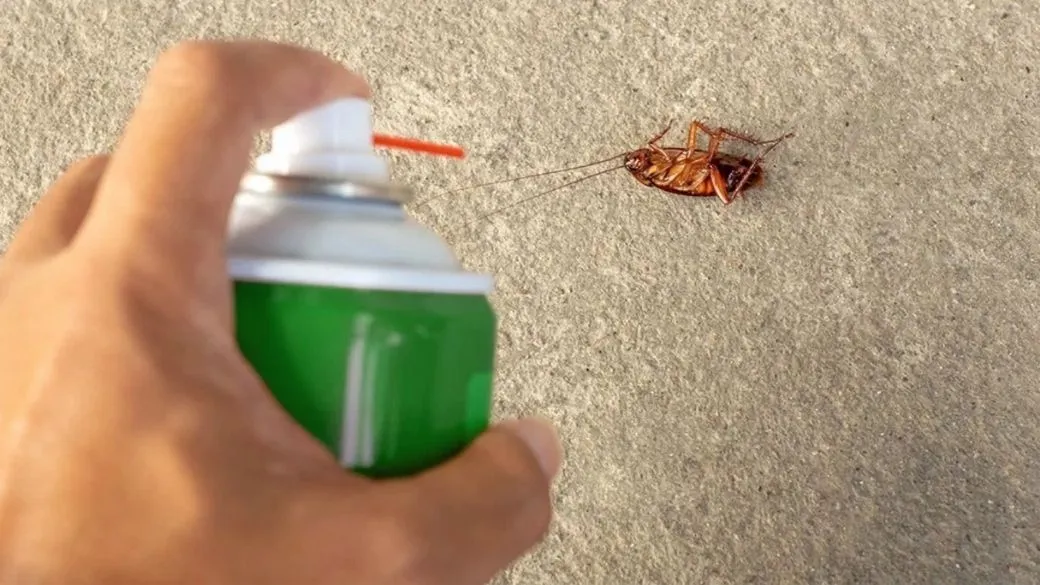 Cockroach Exterminator