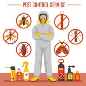 The Top 10 Most Common Household Pests & How to Get Rid of Them