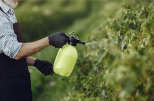 Integrated Pest Management (IPM): Why It's the Future of Safe Pest Control