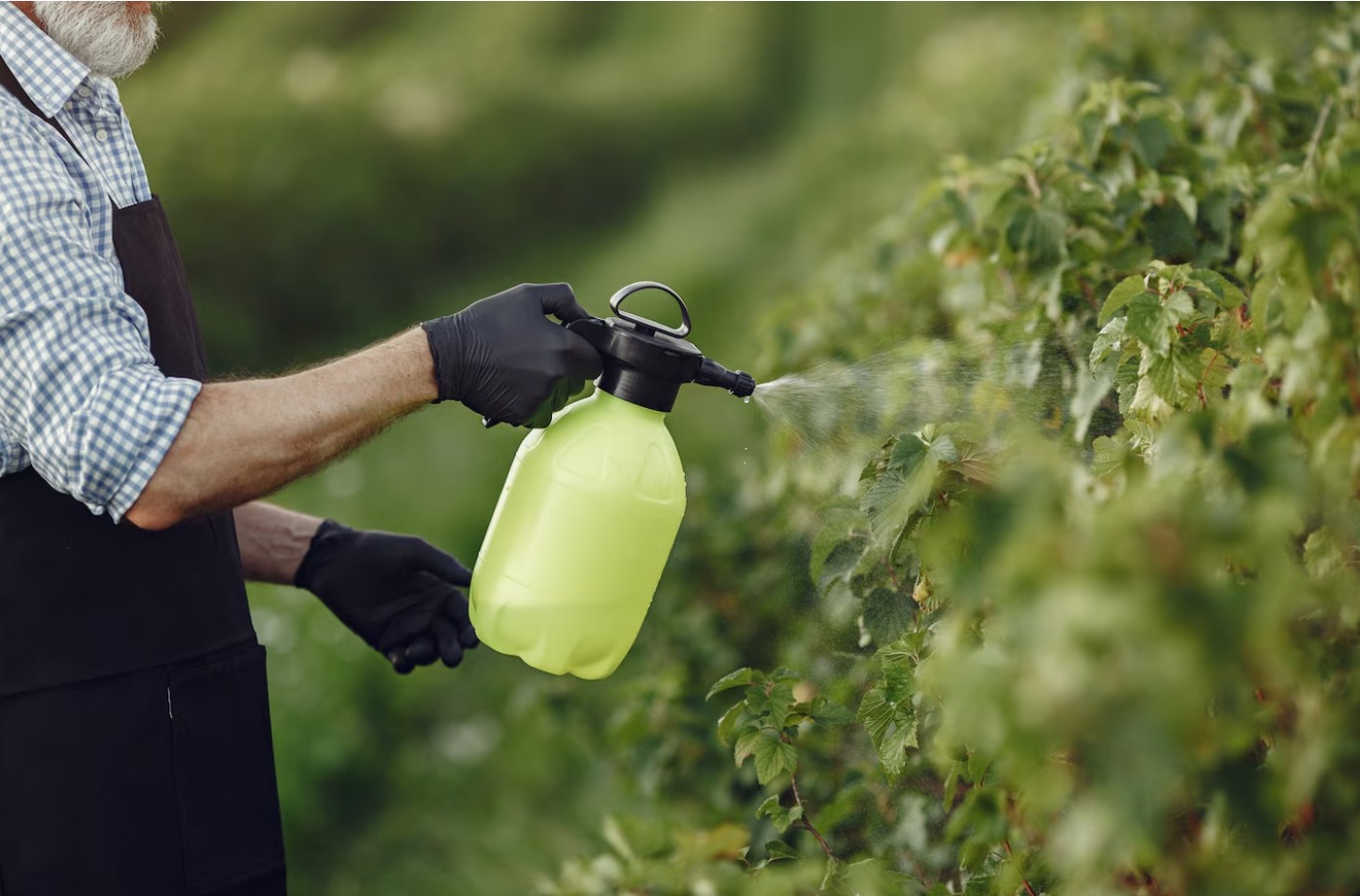 Integrated Pest Management (IPM): Why It's the Future of Safe Pest Control