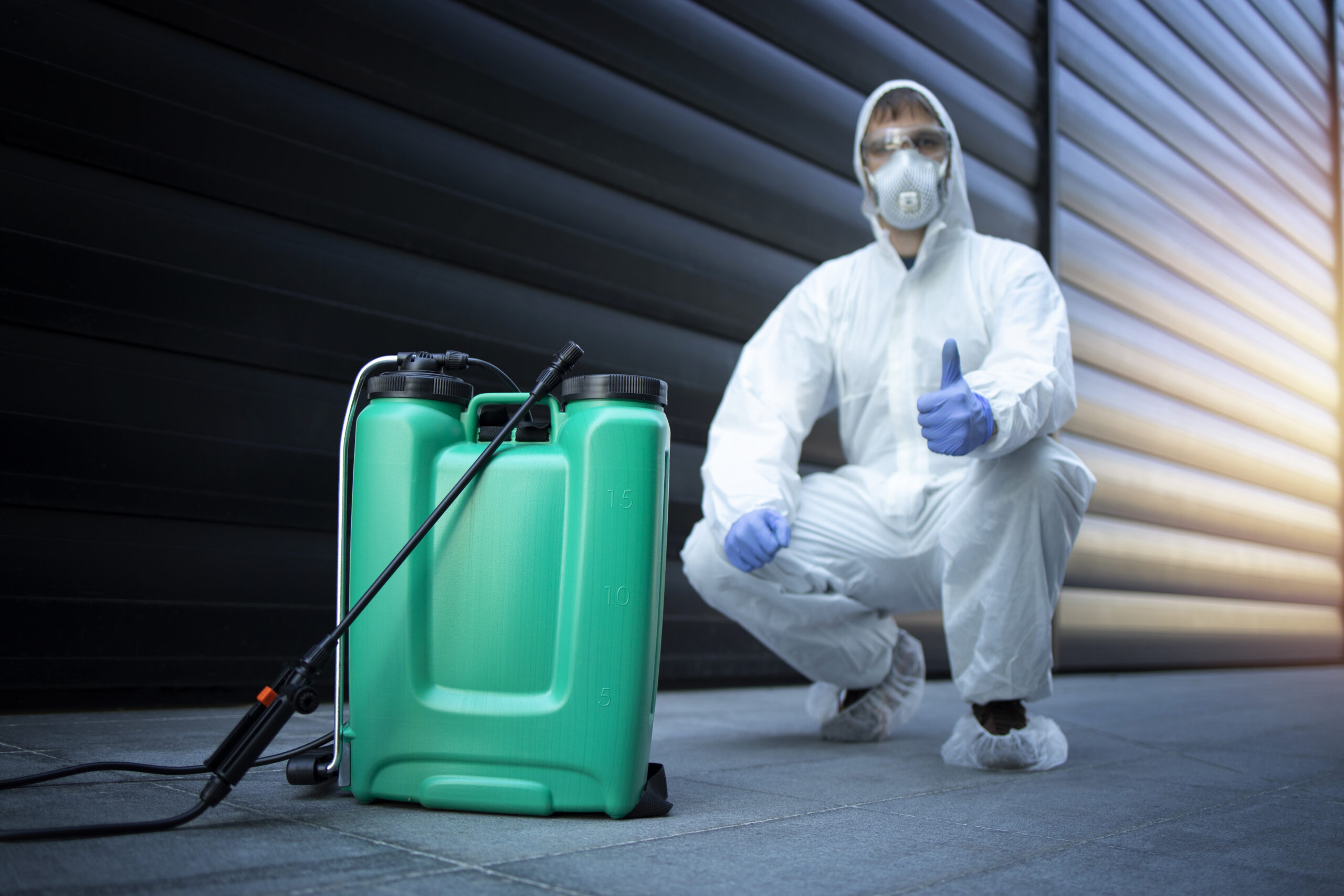 Why Oldsmar Trusts Us The Top-Rated Pest Control Company in Town