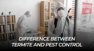 Difference between termite and pest control