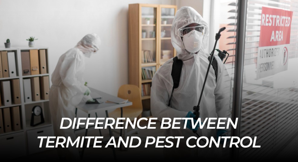 Difference between termite and pest control